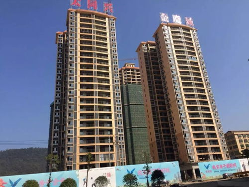 百聞不如一鑒丨太同興金鷹城實景現(xiàn)房,返鄉(xiāng)置業(yè)首選