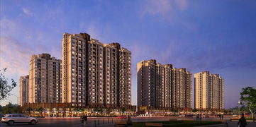 1 1 2 五大優(yōu)勢(shì)詮釋金鷹花園商鋪價(jià)值