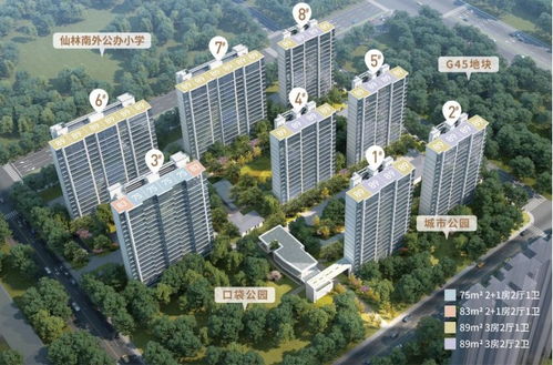 2023年南京取消限購，金鷹置業(yè)投資價值如何？