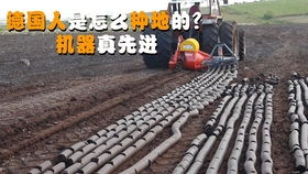 味精包裝機,食品包裝設備,廠家直銷,歡迎來廠驗貨